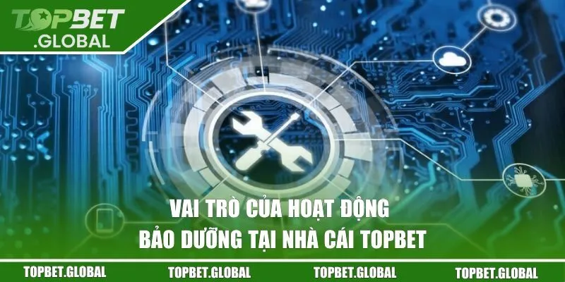 Vai trò của hoạt động bảo dưỡng tại nhà cái Topbet